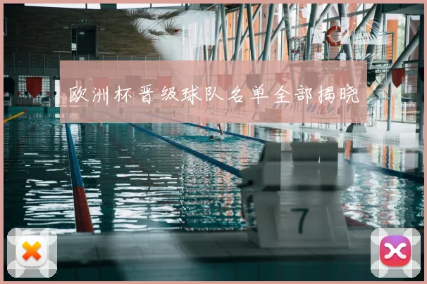 欧洲杯晋级球队名单全部揭晓
