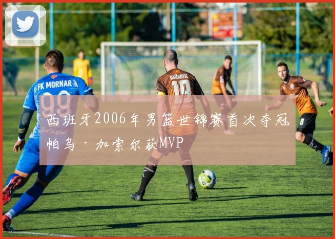 西班牙2006年男篮世锦赛首次夺冠帕乌·加索尔获MVP