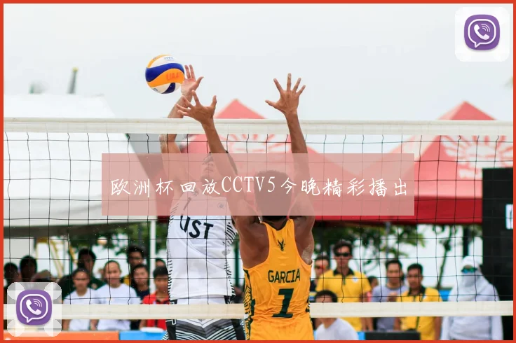 欧洲杯回放CCTV5今晚精彩播出