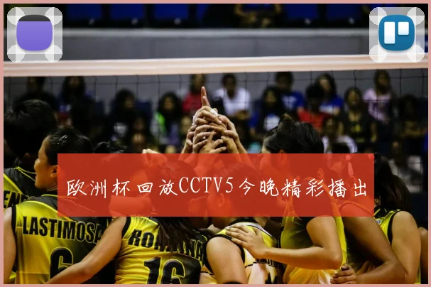 欧洲杯回放CCTV5今晚精彩播出